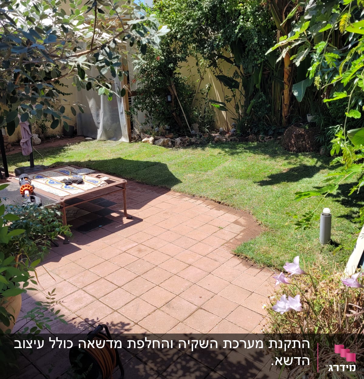 צינור השקיה מגולגל על מתקן, דשא ירוק וצמחים מסביב